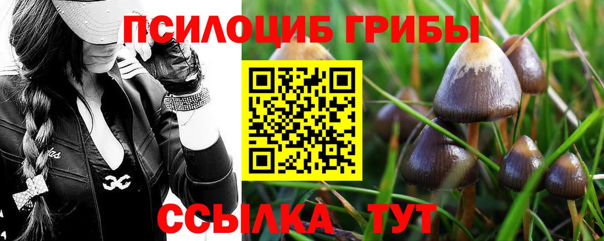 Донской  Галлюциногенные грибы Psilocybine cubensis  Вход с VPN  Псилоцибиновые грибы Magic Shrooms 